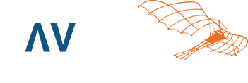 Davinci Assessment & Loopbaanadvies