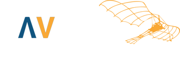 Davinci Assessment & Loopbaanadvies - Training & Studieadvies